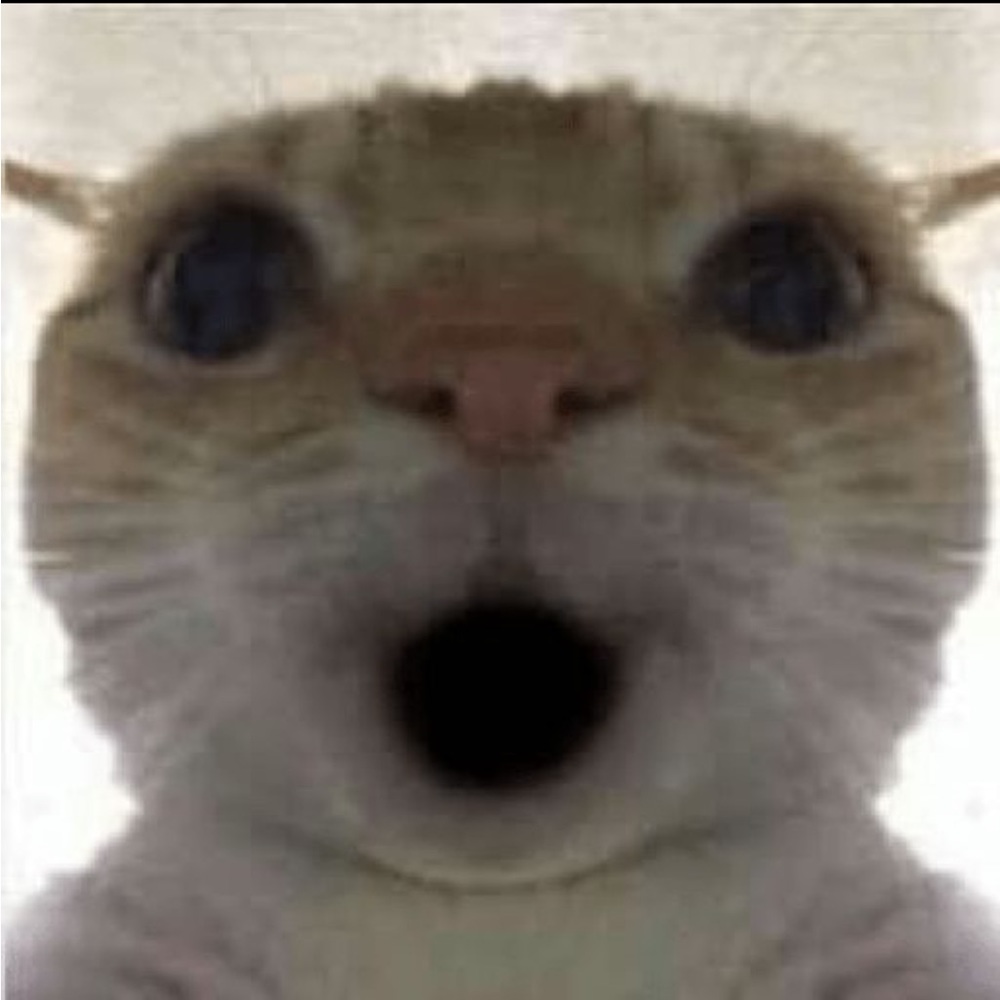 Meet your Posher, Alysen